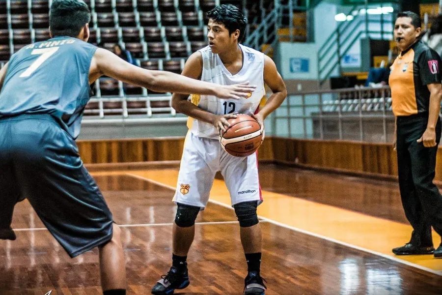 Descripción de la foto 1